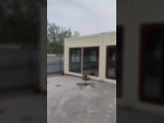 Pre Installed Electrical System Expandable 1 Story Container Homes With Aluminum Sliding Window